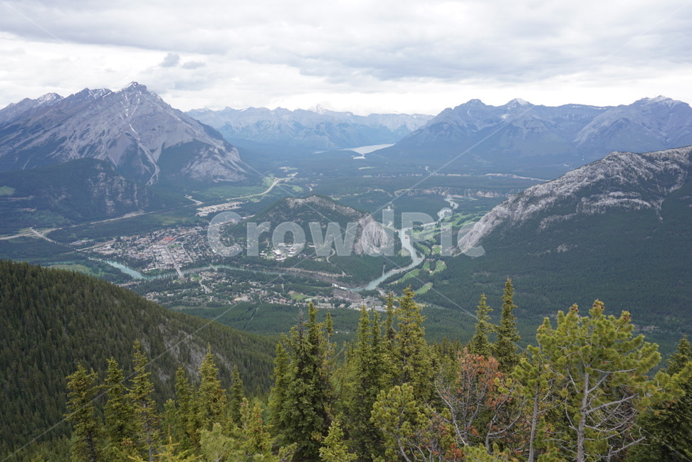 plant,식물,나무,tree,slope,경사,fir,전나무,산,mountain,꼭대기,밴프,banff,캐나다,canada,록키,록키산맥,rocky,rockymountains,자연,풍경,nature,landscape