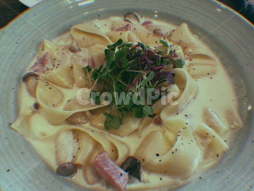 파스타,베이컨파스타,베이컨,파슬리,먹는것,음식,food,버섯파스타,버섯,건강,데이트,요리,필름카메라,음식,식재료,요리,food,cook,meal,dishes,food reserves,양식,서양음식,서양요리,western food,western dishes,western meal,western cook