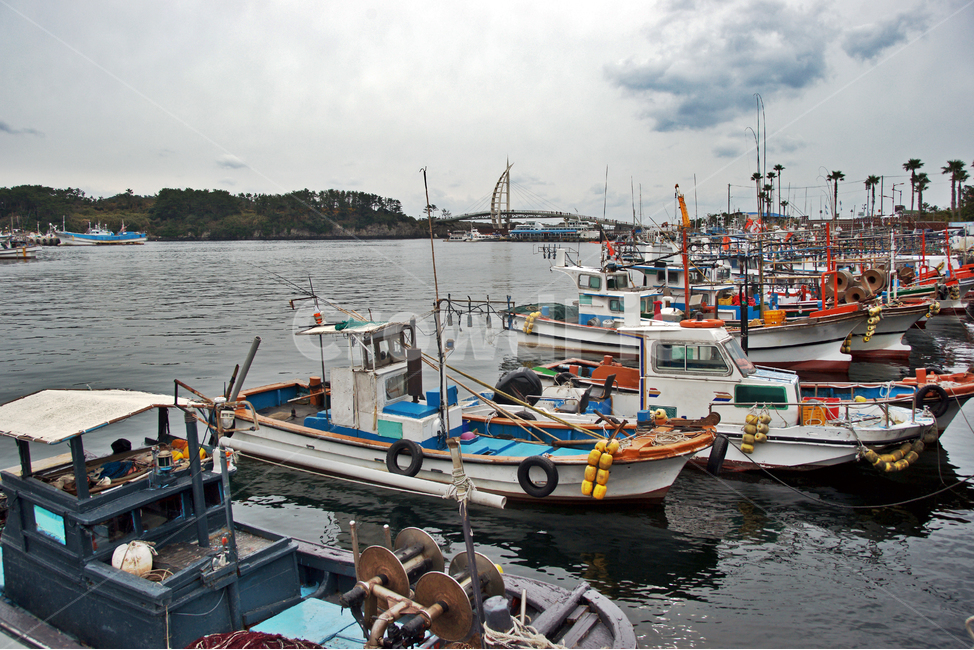 제주도,서귀포시,서귀포항,어선,고깃배,부두,새연교,어업,fishery,fishing industry,교통,교통수단,traffic,transportation