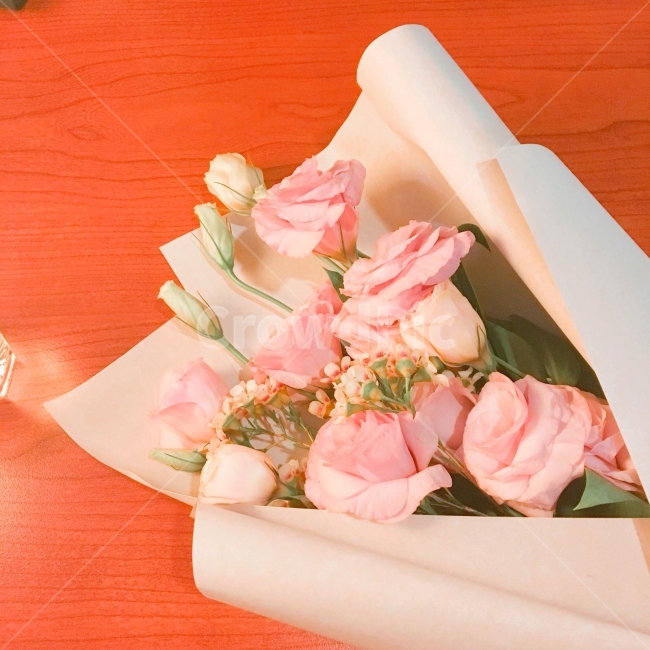 꽃,꽃다발,flower,Pink,색감,식물,자연,plants,nature,꽃,flower,기념일,축하,anniversary,congratulation,celebrate,celebration,색깔,색상,색채,색감,color sense,color sensitivity,feeling of color