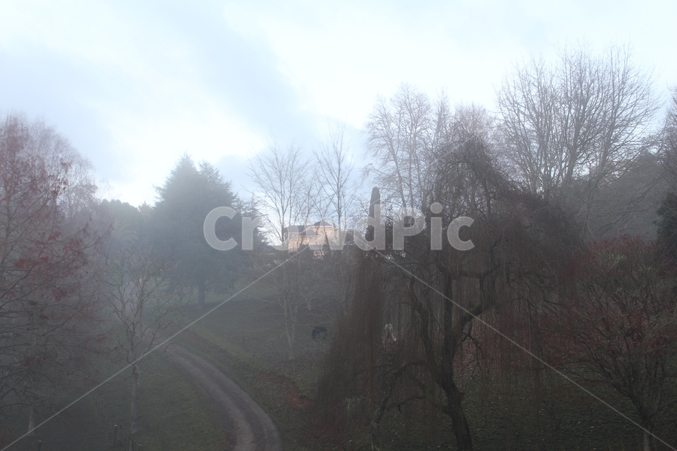 weather,날씨,nature,자연,outdoors,옥외,fog,mist,안개