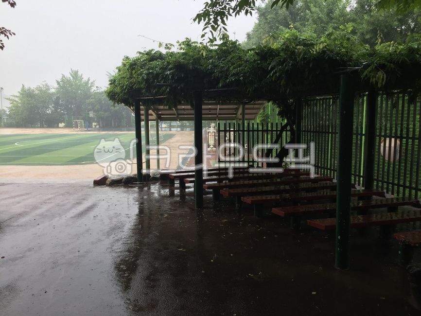 outdoors,desolation,school wisteria,school playground,rattan,rainy school