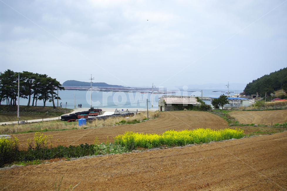 봄,spring,하늘,구름,풍경,밭,시골,청산도,바다,봄,계절,spring,season,시골,마을,풍경,landscape,country,rural,town,road,도로,dirt road,흙길,gravel,자갈