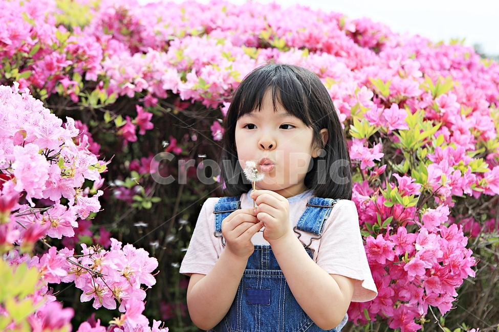여자아이,아이,어린이,꽃,배경,자연,소녀