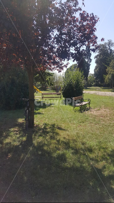 공원,벤치,놀이터,나무,여름,미끄럼틀,햇빛,park,bench,playground,trees,summer,slide,sunlight