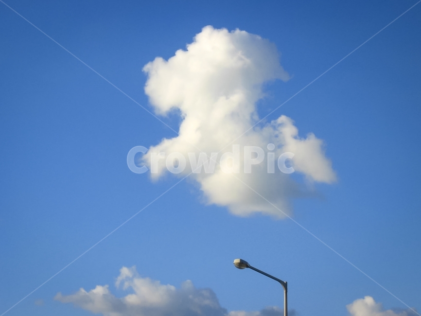 구름,하늘,강아지,흰구름,가로등,푸들,poodle,날아가는강아지,자연,풍경,nature,landscape,outdoors,옥외,sky,azure sky,푸른 하늘