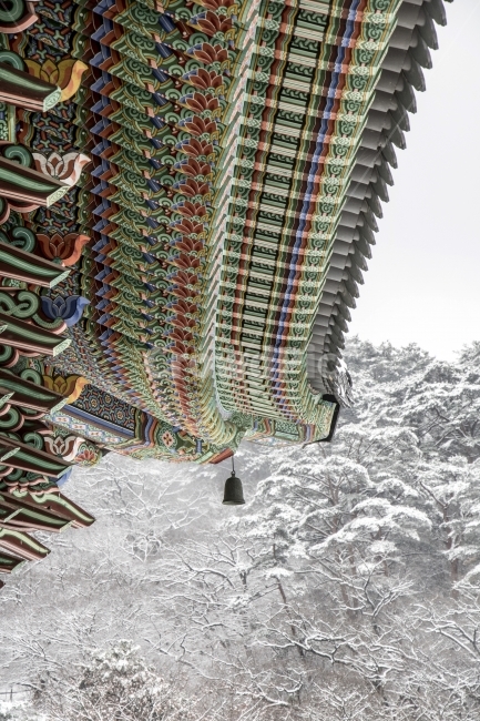 사진,단독사진,디자인,소스,포토,사진자료,배경,배경사진,백그라운드,한국,동양,아시아,접사,근접,자연,겨울,눈,얼음,경치,설경,Landscape,날씨,눈꽃,겨울배경,지붕,사찰,폭설,산,기와,전통지붕,전통기와,풍경,눈풍경,겨울풍경,나무,눈산,설산,고궁,절,궁궐,겨울,계절,winter,season,한국전통,한국문화,korean traditional,korean culture
