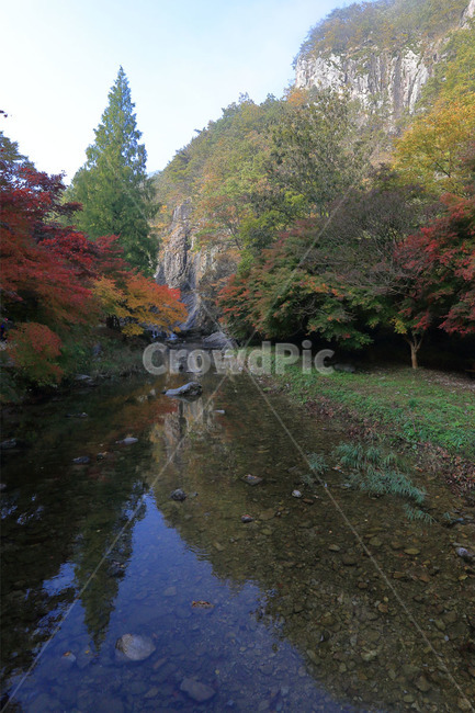 water,물,outdoors,nature,옥외,자연,tree,나무,plant,식물,강천산,반영,강,river,가을,단풍,자연,풍경,nature,landscape
