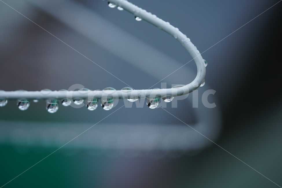 물방울,빗물,비,물,접사,감성,감성사진,느낌,풍경,비오는날,레인,rain,옷걸이,빗소리,워터,일상,풍경사진,감정,비,비오는날,rain,rainy,감성,sensible,feeling