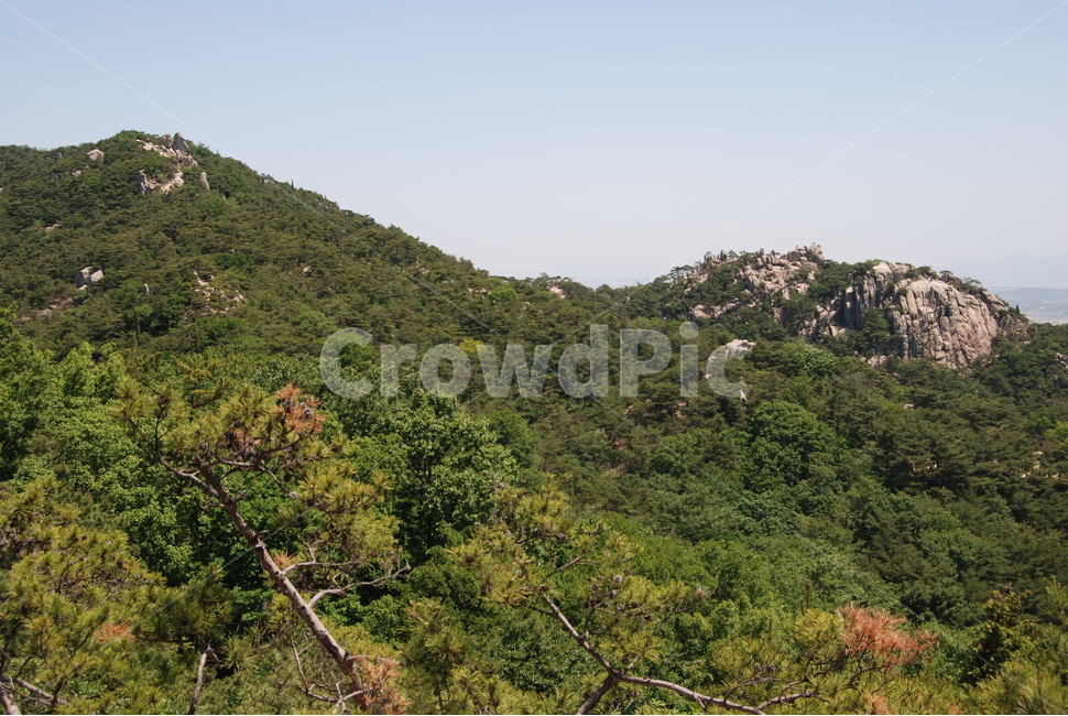 바위,rock,mountain,tree,nature,자연,풍경,nature,landscape,outdoors,옥외