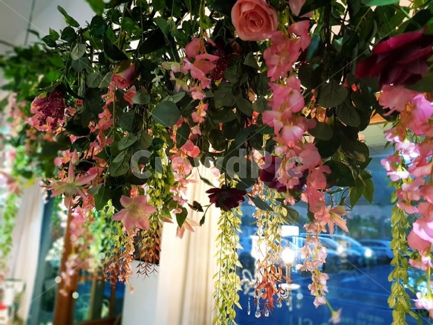 꽃,꽃나무,봄,아름다움,spring,flower,beautiful,행복,기쁨,사랑,아름다운