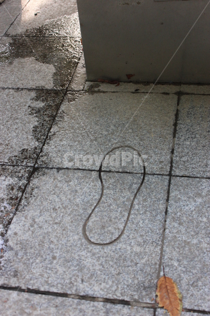 flooring,바닥,floor,발자국,발자취