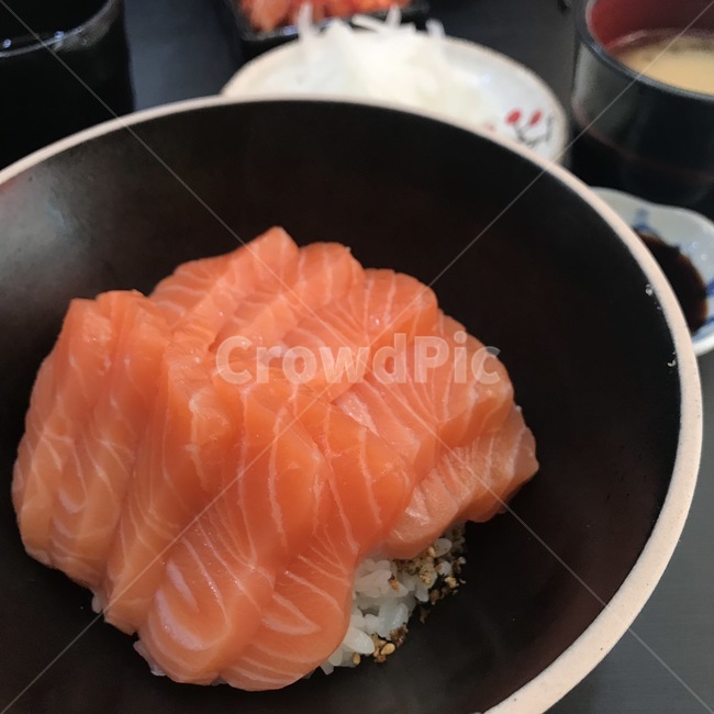 연어,사케동,일식,연어덮밥,food