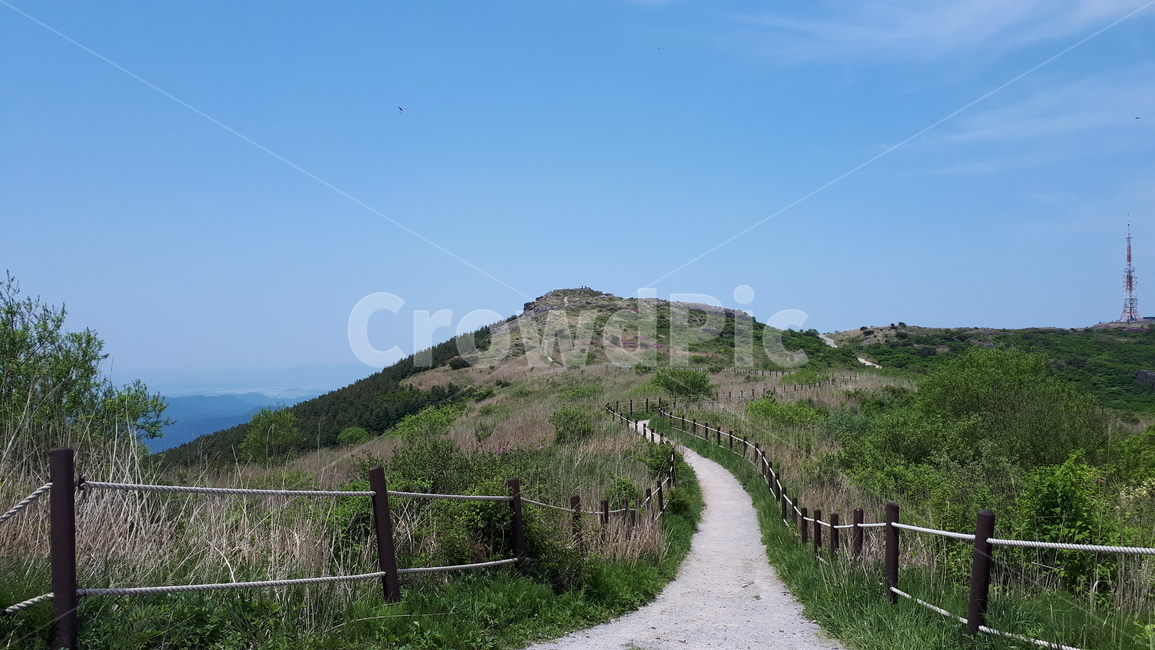 outdoors,nature,자연,road,옥외