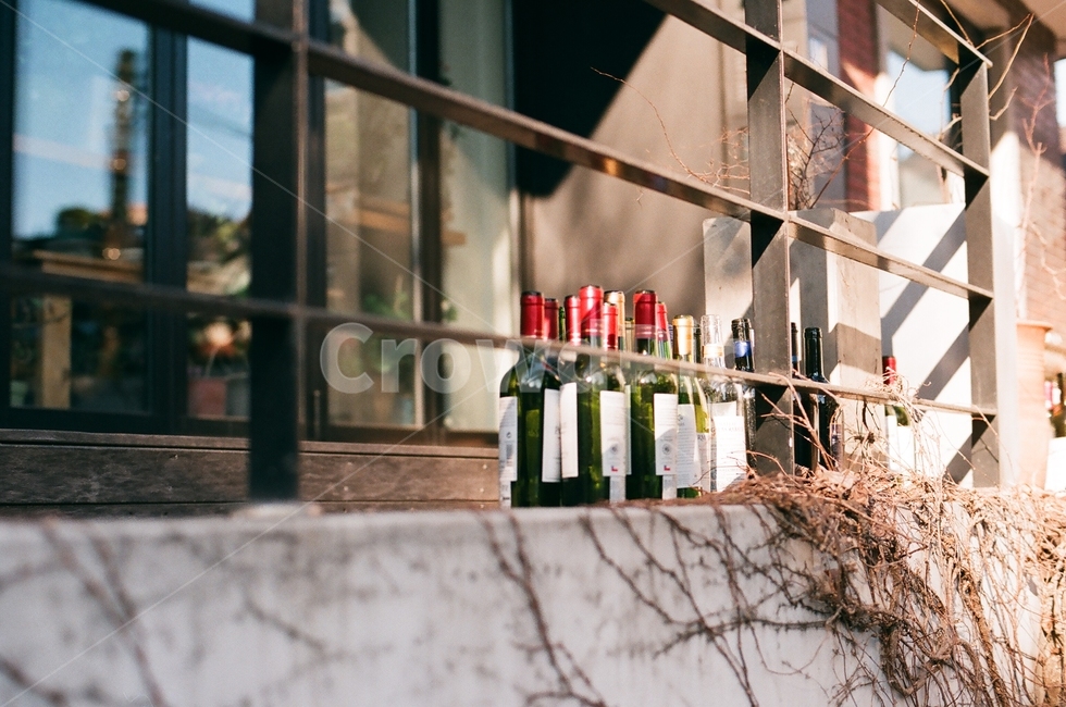 빛,따뜻함,조용함,술,와인,wine,넝쿨,술,주류,alcohol,감성,sensible,feeling,빈티지사진,빈티지느낌,빈티지감성,vintage