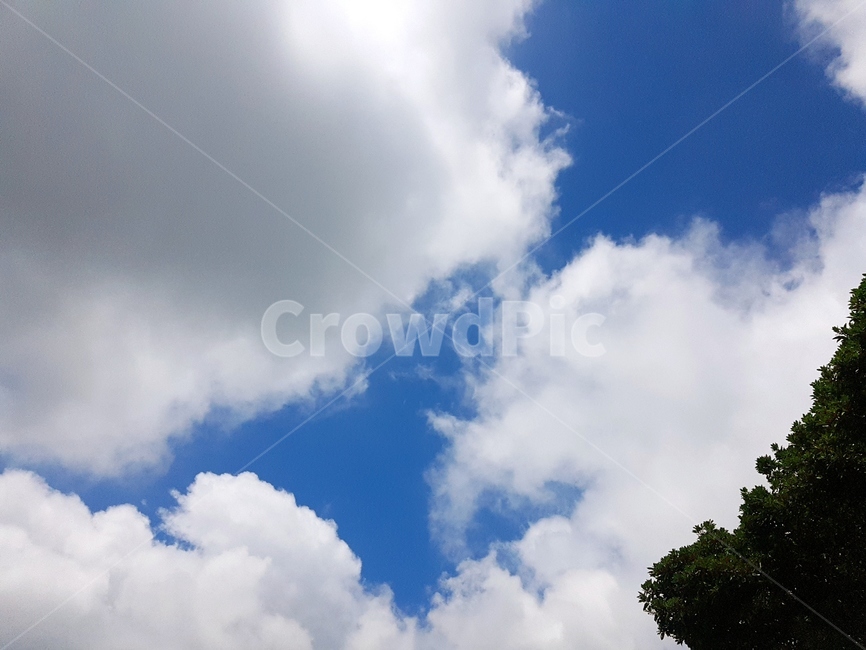 하늘,구름,낮,풍경,자연,scenery,sky,clouds