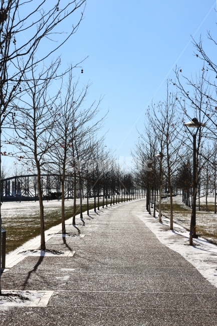 산책로,겨울,공원,눈,거리,눈길,풍경,눈밭,폭설,흰색,흰눈,겨울사진,snow,white,나무,잔디,산책길,산책,겨울,계절,winter,season,자연,풍경,nature,landscape,asphalt,아스팔트