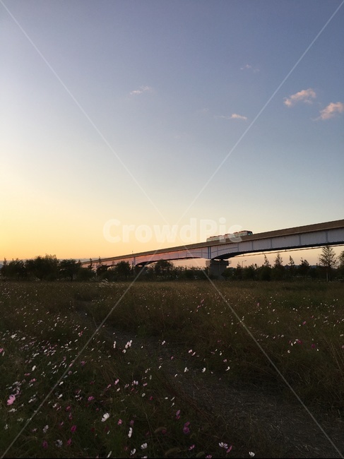road,도로,가을,노을,하늘