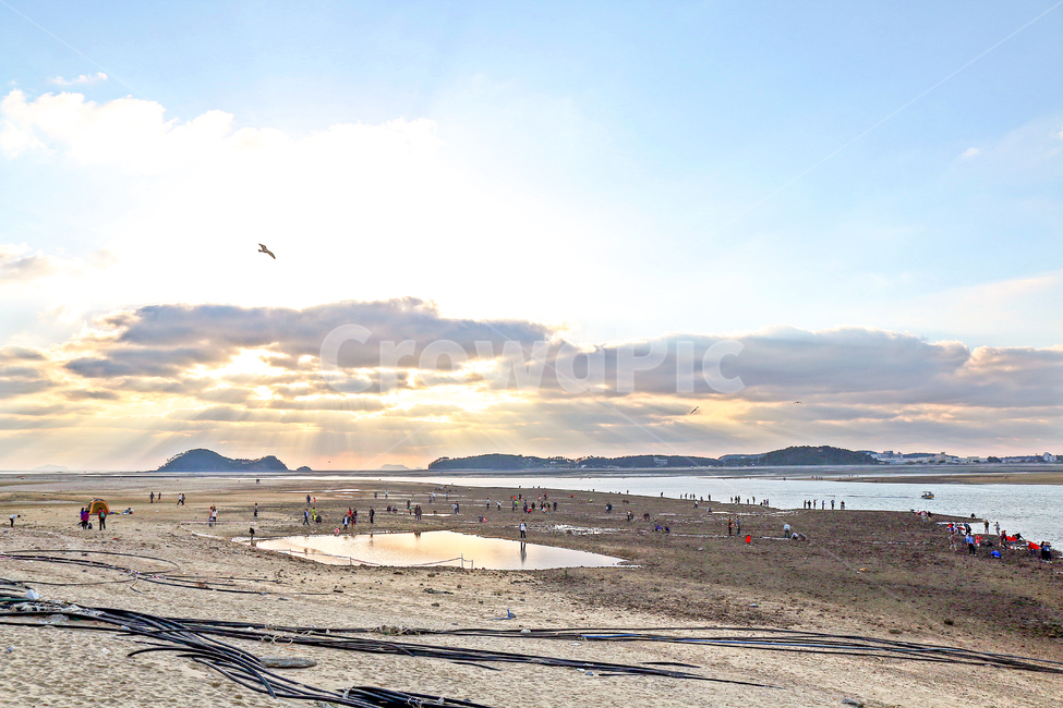 안면도,서해,하늘,풍경,바다,갯벌,구름,노을,일몰,사람들,새,sky,sea,beach,cloud,sunset,landscape,자연,풍경,nature,landscape,한국자연풍경,한국자연경관,korea nature landscape,해변,바다,beach,sea,사람들,대중,군중,other people,crowd,여행,휴가,traveling,vacation,trip,animal,동물,bird