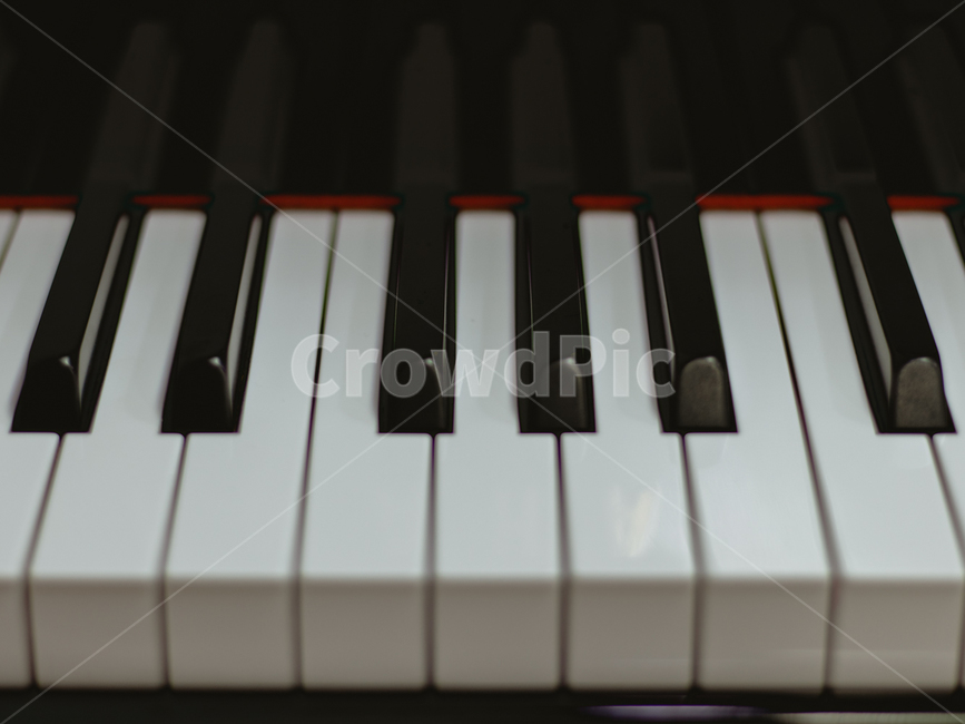 피아노,피아노건반,건반,악기,piano,악기,음향기기,musical instrument,musical equipment