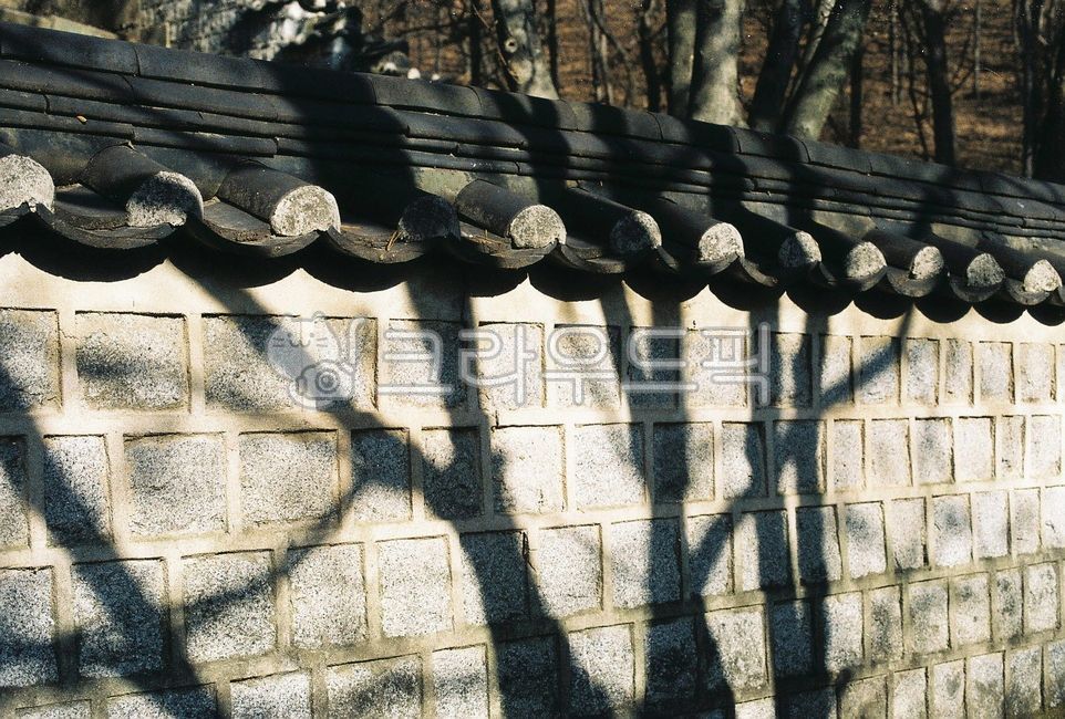 shadow,film,wall,house