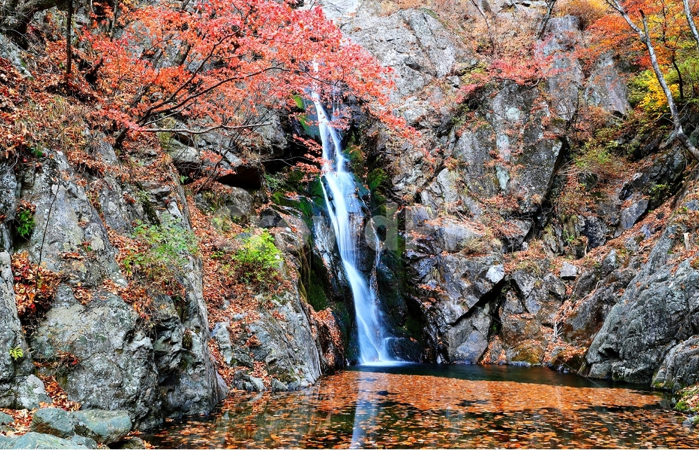 폭포,물,희방사,소백산,가을,낙엽,희방폭포,단풍,가을,계절,fall,autumn,season,자연,풍경,nature,landscape