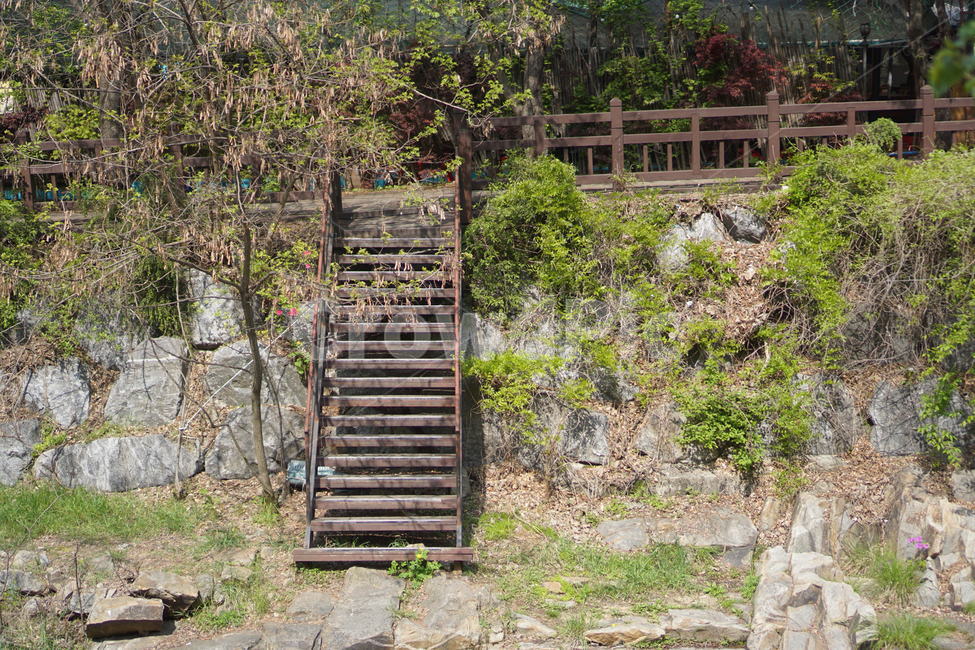 안양,유원지,풍경,계곡,숲,자연,풍경,nature,landscape,outdoors,옥외