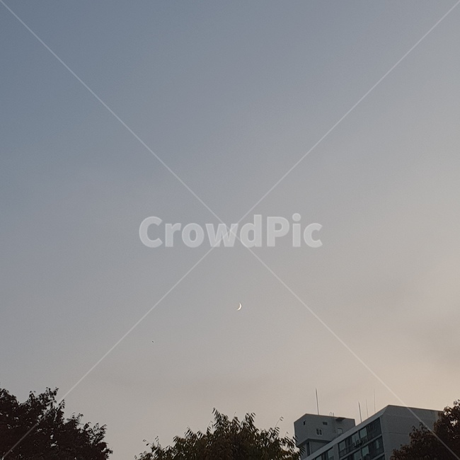 nature,자연,sky,moon,초승달,달,하늘
