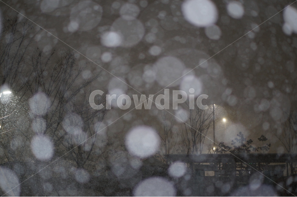 눈,야경,보케,밤,겨울,풍경,겨울,계절,winter,season,자연,풍경,nature,landscape,야경,밤,nightscape,night,outdoors,옥외,storm,폭풍,snow,blizzard,눈보라