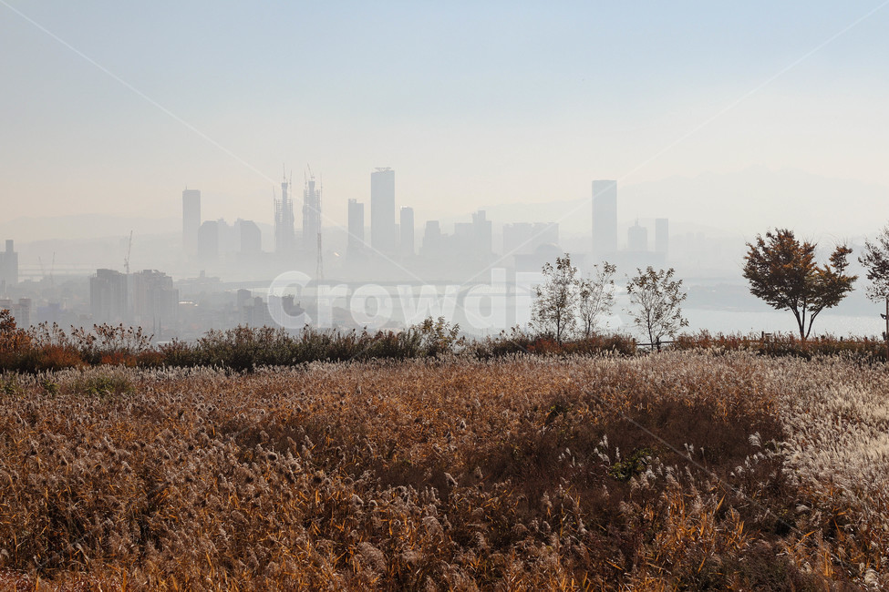 도시,이미지,가을,계절,안개낀날,한강,상암동,하늘공원,빌딩,풍경,가을,계절,fall,autumn,season,도시,풍경,city,landscape,한국도시풍경,한국도시경관,korea cityscape,nature,자연,fog,안개
