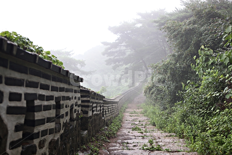 남한산성,성,성곽,둘레길,길,숲,숲길,안개,돌담,담,여름