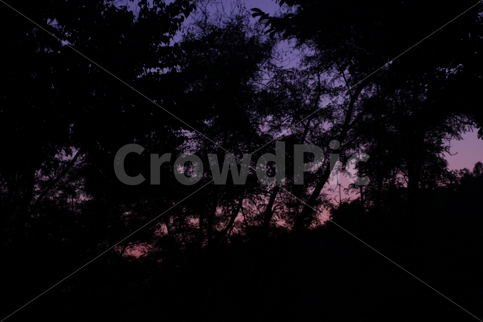 몽환,판타지,색감,라라랜드,감성,자연,풍경,nature,landscape,실루엣,그림자,silhouette,shadow