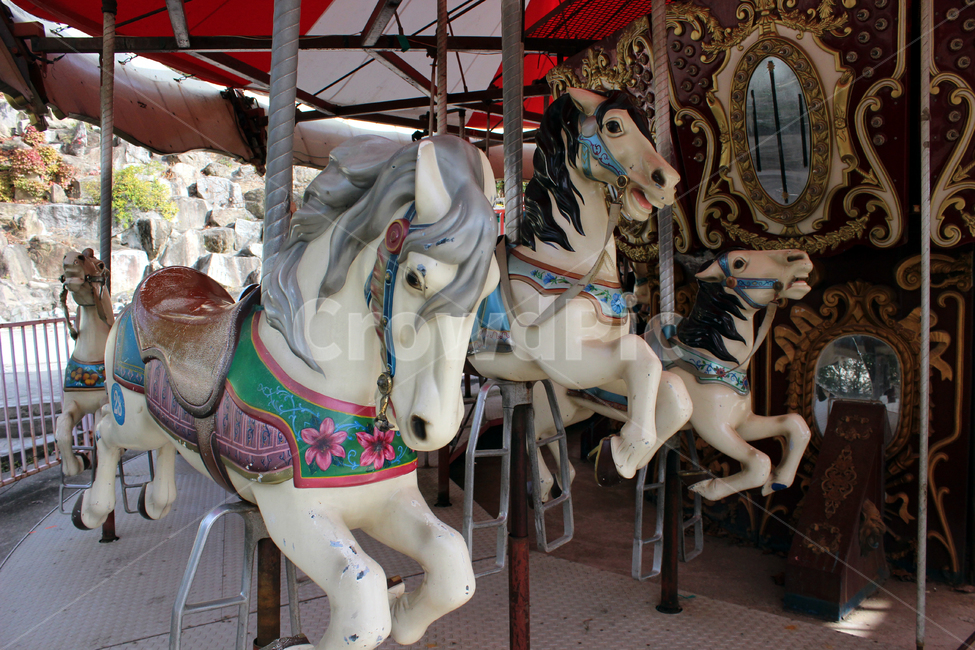 회전목마,놀이공원,말,천막,목마,놀이공원,놀이동산,놀이터,amusement park,playground