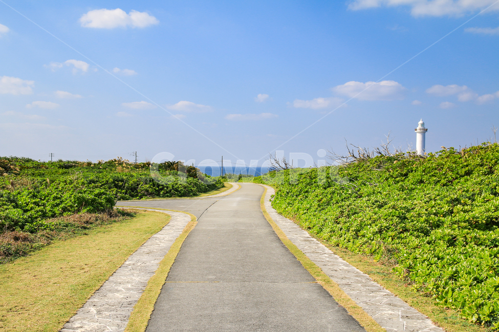 산책로,오키나와,잔파공원,잔파곶,일본,풍경,배경,백그라운드,산책,파란하늘,푸른하늘,파란,하늘,흰구름,구름,자연,녹지,평화로운,둘레길,식물,하늘색,조용한,한가한,텅빈,길,산책길,공원,야외,자연,풍경,nature,landscape,road,도로,asphalt,아스팔트,highway,고속도로,freeway,고속 도로