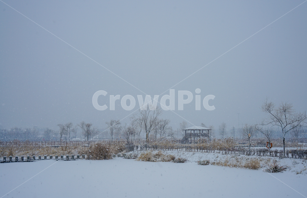 겨울,눈,흰눈,설경,풍경,나무,계절,호수공원,nature,자연,storm,폭풍,blizzard,눈보라,winter,outdoors,옥외,snow,weather,날씨