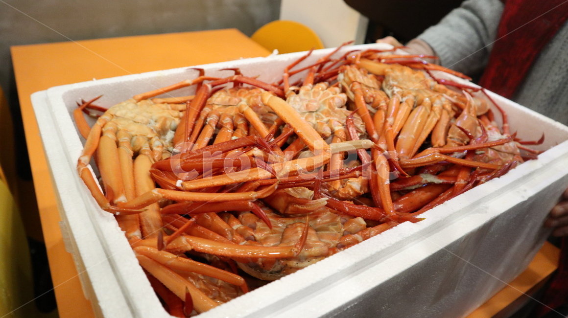 홍게,꽃게,해산물,대게,찜게,수산물,해산물,fishery products,seafood