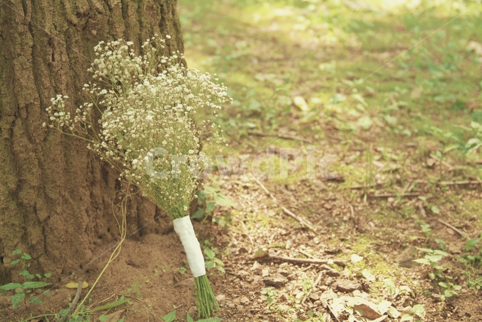 꽃,안개꽃,흙,나무,꽃다발,부케,웨딩,flower,wedding,셀프웨딩,selfwedding,감성,분위기,따뜻