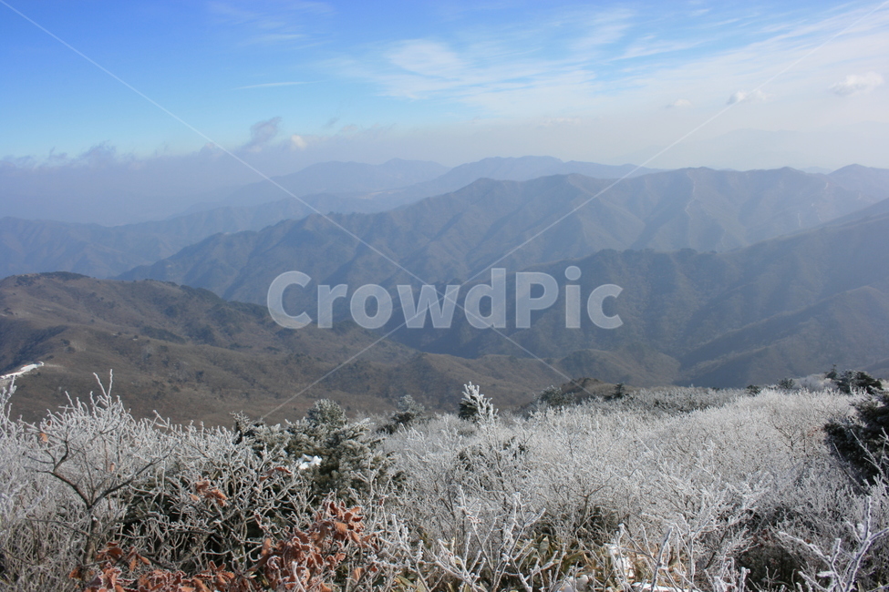 설산,눈꽃,풍경,산정상,등산