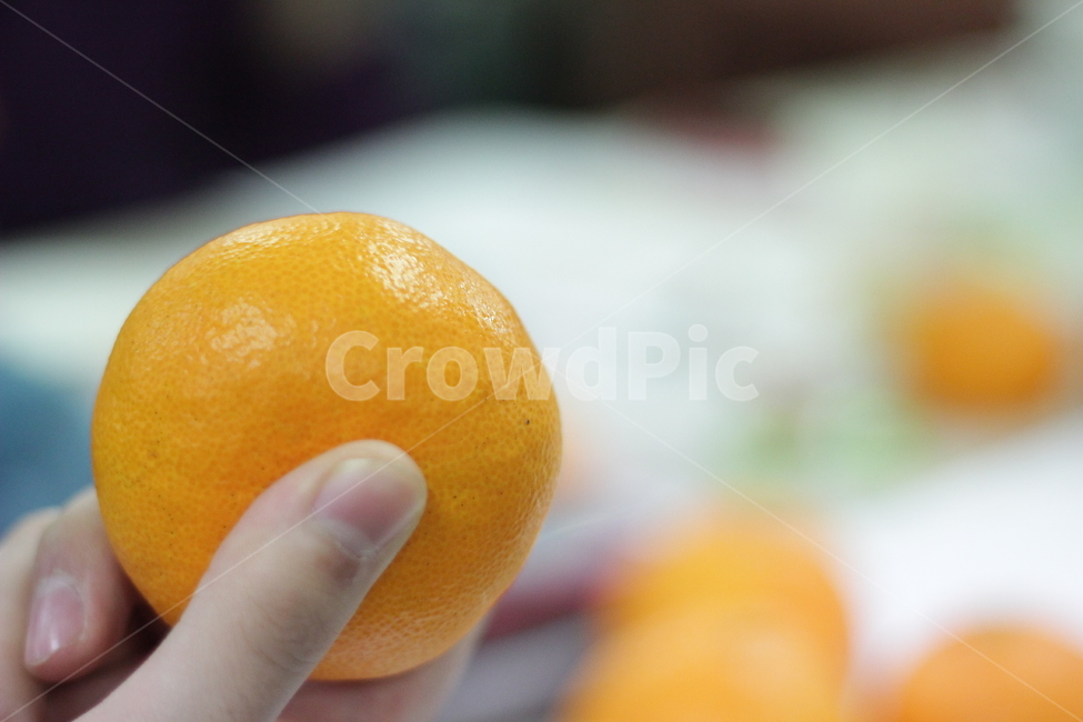 귤,과일,음식,food,감귤