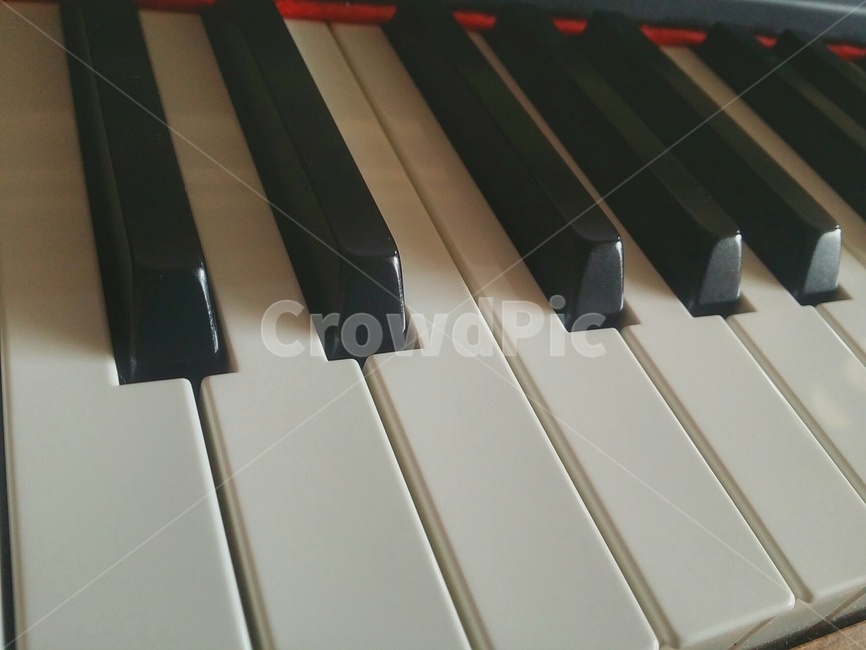 피아노,건반,음악,악기,music,instrument,piano,악기,음향기기,musical instrument,musical equipment