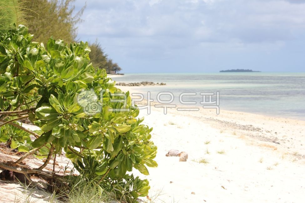 사이판,바다,해변,해수욕장,sea,saipan,beach,seaside