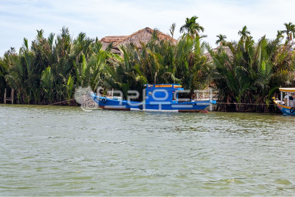 line,palm,ship,watercraft,fishing boat,anchoring,house,sea,summer,overseas,palm tree,Vietnam,houses,Hoi An,fishing,tree,water,boat,coast,fishing village,blue,seashore,beach,landscape