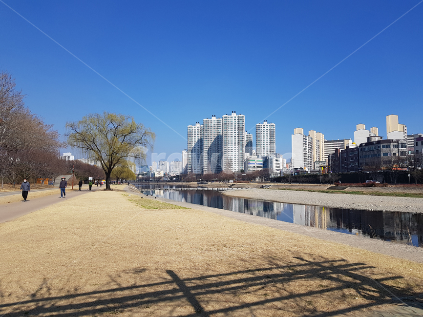 도시,공원,하천,산책,걷기,조깅,대구,신천,반사,나무,건물,잔디,park,river,water,walking,walk,stroll,trail,jogging,city,reflection,trees,buildings,grass,spring