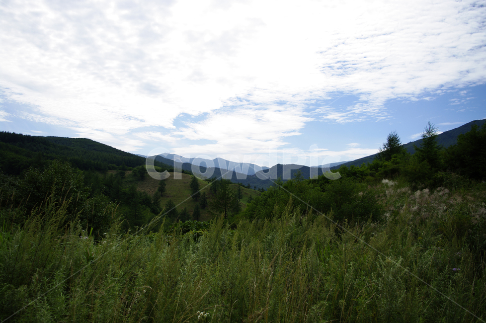나무,하늘,구름,고원,풍경,식물,자연,풍경,nature,landscape,outdoors,옥외,hill,언덕