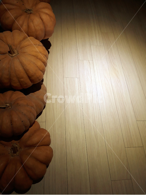 호박,늙은호박,수확,식재료,채소,음식,식품,야채,pumpkin,food,cook,meal,음식,식재료,요리,food,cook,meal,dishes,food reserves,채소,야채,vegetables