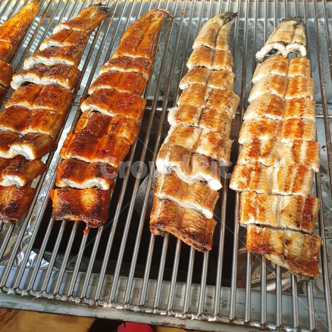 음식,그릴,의식주,생선음식,식사,food