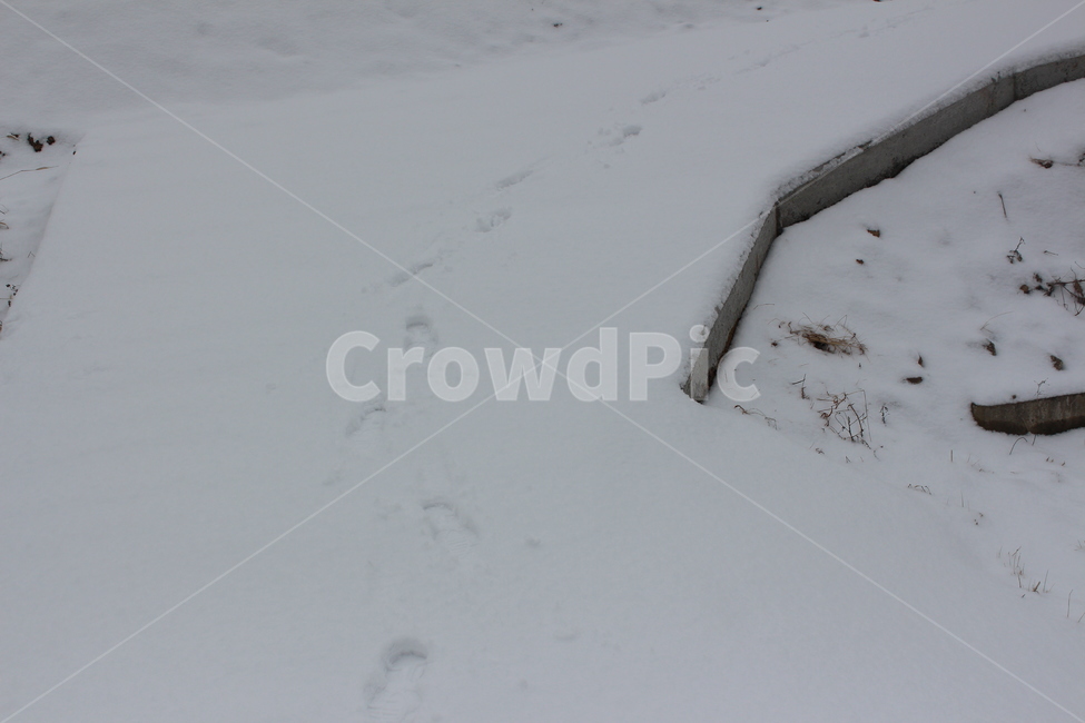 눈,겨울,겨울풍경,겨울아침,계절,풍경,분위기,색감,landscape,winter,snow,snowing