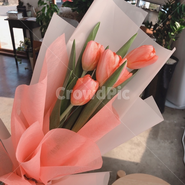 꽃,꽃다발,튤립,핑크,향기,고백,행복
