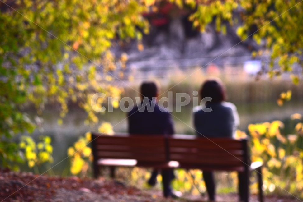 가을,가을배경,가을풍경,벤치,나무의자,공원,의자,고독,외로움,소외,쓸쓸함,시즌,호숫가,계절,사람,응시,바라봄,생각,사색,감정,늦은오후,아웃포커스,가을분위기,lakeside,힐링,휴식,쉼터,여유,낭만,park,bench,autumn,fall,background,silhouette,실루엣,season,colorful,여자,woman,두명,2명,남자,관계,커플,대화,나란히,다정한,남녀,부부,한쌍,인간,person,sitting,좌석,plant,식물,parkbench,couple,공원벤치,중년부부,man,데이트,애인,연인,healing,친구,우정,사랑