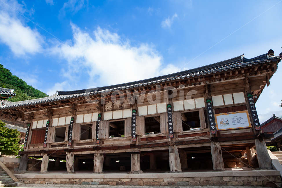 건축,풍경,구례,화엄사,기와,처마,한옥,고찰,절,불교,나무,단청,전통,천년고찰,돌계단,계단,문화,유산,유물,유적,종교,목조건물,architecture,건축물,building,건물,한국전통,한국문화,korean traditional,korean culture,종교,신앙,religion,belief,faith,건축물,건물외관,exterior,building,structure,architecture,construction